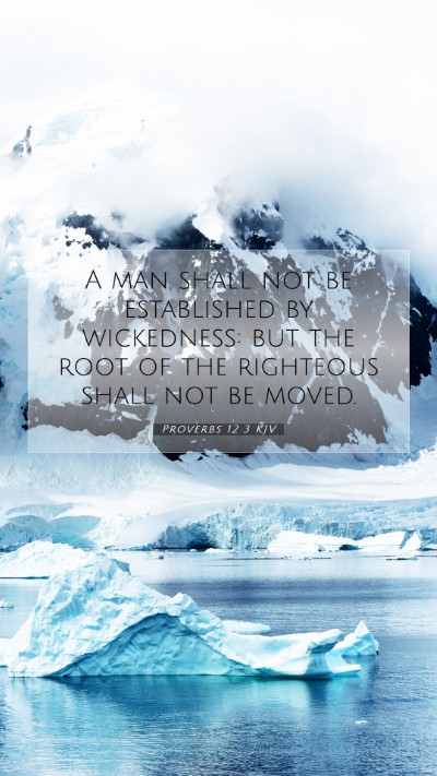 Picture 07 - Proverbs 12:3 KJV Mobile Phone Wallpaper - A man shall not be established by wickedness: but - Mobile Bible Verse Wallpaper