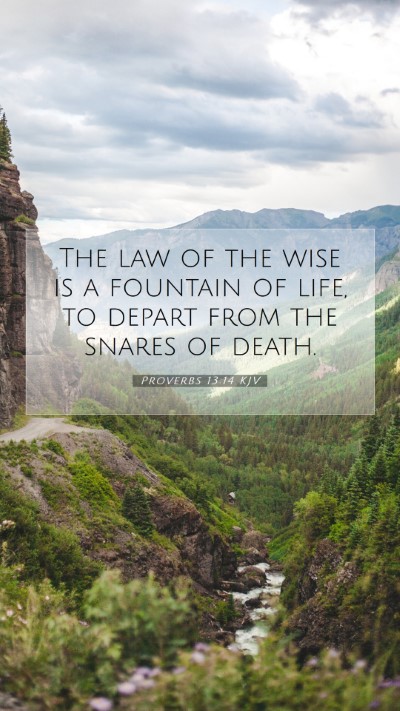 Picture 07 - Proverbs 13:14 KJV Mobile Phone Wallpaper - The law of the wise is a fountain of life, to - Mobile Bible Verse Wallpaper