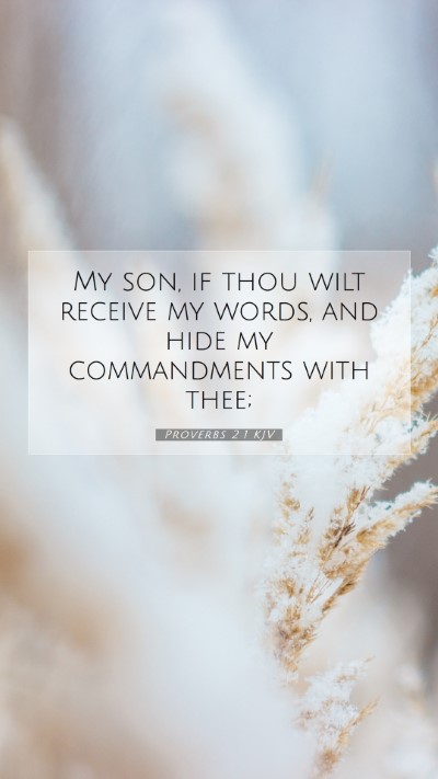 Picture 07 - Proverbs 2:1 KJV Mobile Phone Wallpaper - My son, if thou wilt receive my words, and hide - Mobile Bible Verse Wallpaper