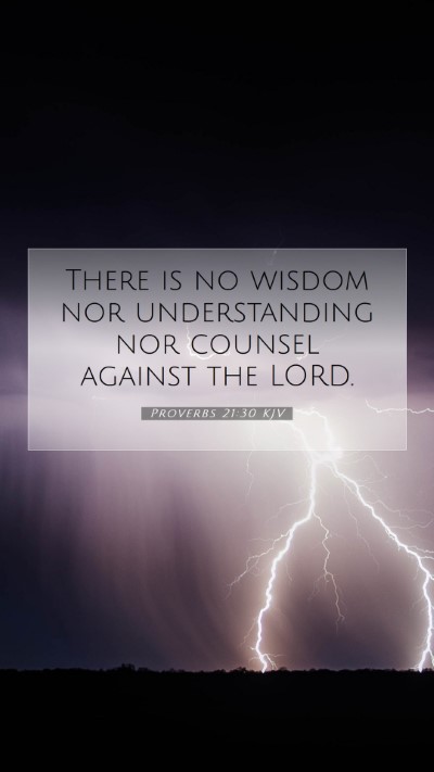 Picture 07 - Proverbs 21:30 KJV Mobile Phone Wallpaper - There is no wisdom nor understanding nor counsel - Mobile Bible Verse Wallpaper