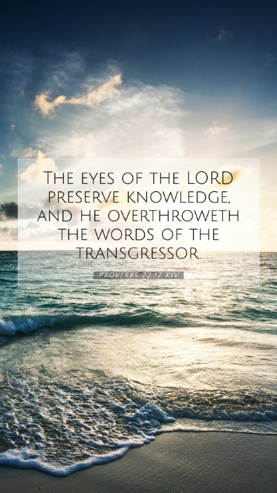 Picture 07 - Proverbs 22:12 KJV Mobile Phone Wallpaper - The eyes of the LORD preserve knowledge, and he - Mobile Bible Verse Wallpaper