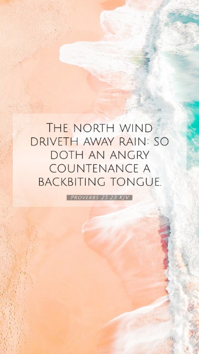 Picture 07 - Proverbs 25:23 KJV Mobile Phone Wallpaper - The north wind driveth away rain: so doth an - Mobile Bible Verse Wallpaper
