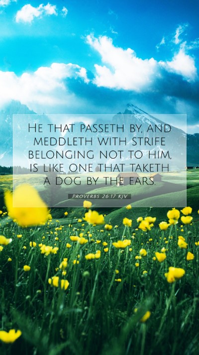 Picture 07 - Proverbs 26:17 KJV Mobile Phone Wallpaper - He that passeth by, and meddleth with strife - Mobile Bible Verse Wallpaper