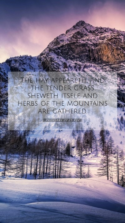 Picture 07 - Proverbs 27:25 KJV Mobile Phone Wallpaper - The hay appeareth, and the tender grass sheweth - Mobile Bible Verse Wallpaper