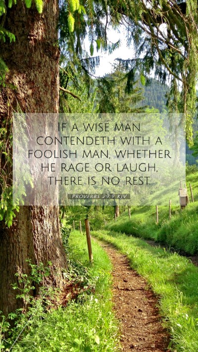 Picture 07 - Proverbs 29:9 KJV Mobile Phone Wallpaper - If a wise man contendeth with a foolish man, - Mobile Bible Verse Wallpaper