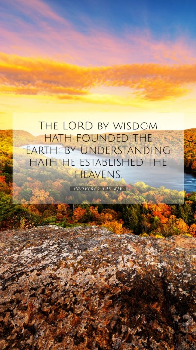 Picture 07 - Proverbs 3:19 KJV Mobile Phone Wallpaper - The LORD by wisdom hath founded the earth; by - Mobile Bible Verse Wallpaper