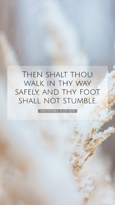Picture 07 - Proverbs 3:23 KJV Mobile Phone Wallpaper - Then shalt thou walk in thy way safely, and thy - Mobile Bible Verse Wallpaper