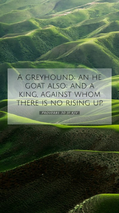 Picture 07 - Proverbs 30:31 KJV Mobile Phone Wallpaper - A greyhound; an he goat also; and a king, against - Mobile Bible Verse Wallpaper