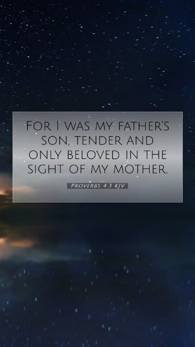 Picture 07 - Proverbs 4:3 KJV Mobile Phone Wallpaper - For I was my father's son, tender and only - Mobile Bible Verse Wallpaper