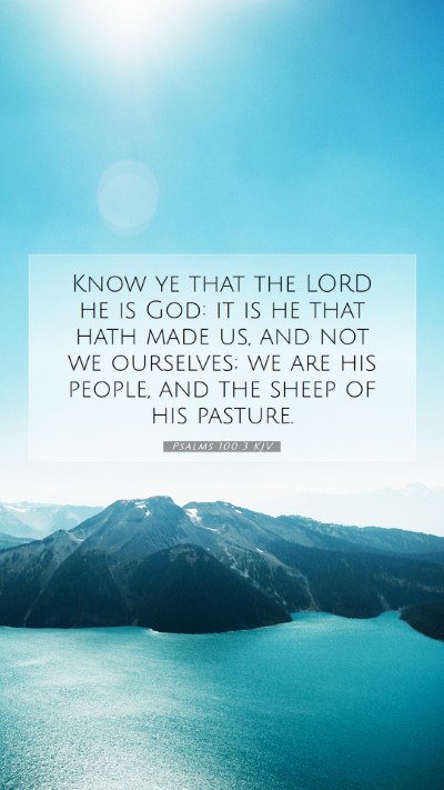 Picture 07 - Psalms 100:3 KJV Mobile Phone Wallpaper - Know ye that the LORD he is God: it is he that - Mobile Bible Verse Wallpaper