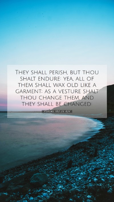 Picture 07 - Psalms 102:26 KJV Mobile Phone Wallpaper - They shall perish, but thou shalt endure: yea, - Mobile Bible Verse Wallpaper