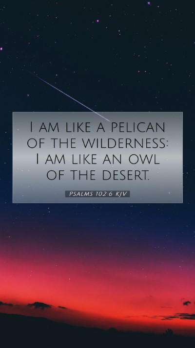 Picture 07 - Psalms 102:6 KJV Mobile Phone Wallpaper - I am like a pelican of the wilderness: I am like - Mobile Bible Verse Wallpaper