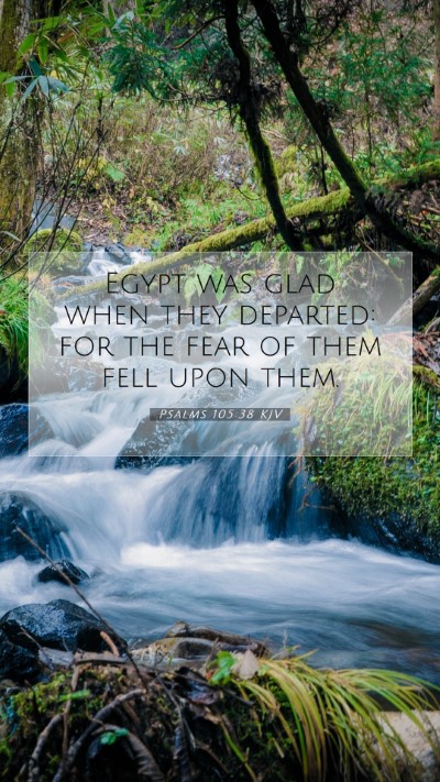 Picture 07 - Psalms 105:38 KJV Mobile Phone Wallpaper - Egypt was glad when they departed: for the fear - Mobile Bible Verse Wallpaper