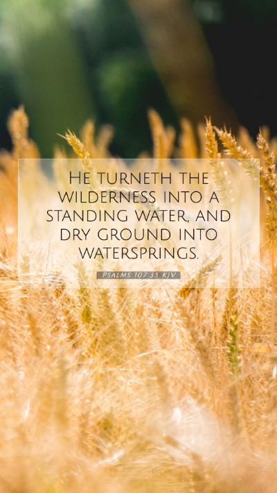Picture 07 - Psalms 107:35 KJV Mobile Phone Wallpaper - He turneth the wilderness into a standing water, - Mobile Bible Verse Wallpaper