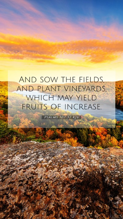 Picture 07 - Psalms 107:37 KJV Mobile Phone Wallpaper - And sow the fields, and plant vineyards, which - Mobile Bible Verse Wallpaper