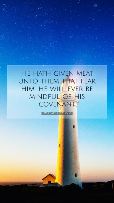 Picture 07 - Psalms 111:5 KJV Mobile Phone Wallpaper - He hath given meat unto them that fear him: he - Mobile Bible Verse Wallpaper