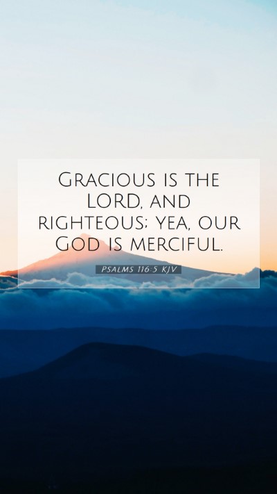 Picture 07 - Psalms 116:5 KJV Mobile Phone Wallpaper - Gracious is the LORD, and righteous; yea, our God - Mobile Bible Verse Wallpaper