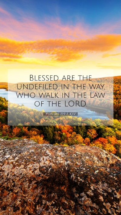 Picture 07 - Psalms 119:1 KJV Mobile Phone Wallpaper - Blessed are the undefiled in the way, who walk in - Mobile Bible Verse Wallpaper