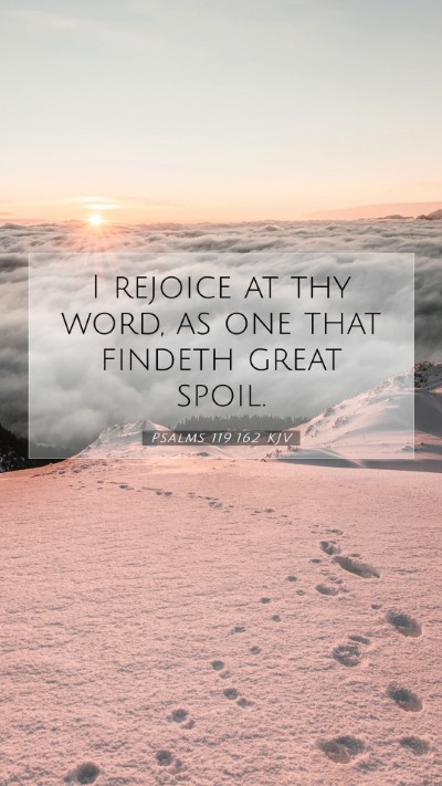 Picture 07 - Psalms 119:162 KJV Mobile Phone Wallpaper - I rejoice at thy word, as one that findeth great - Mobile Bible Verse Wallpaper