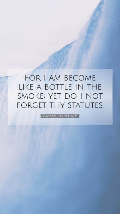 Picture 07 - Psalms 119:83 KJV Mobile Phone Wallpaper - For I am become like a bottle in the smoke; yet - Mobile Bible Verse Wallpaper