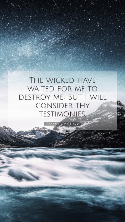 Picture 07 - Psalms 119:95 KJV Mobile Phone Wallpaper - The wicked have waited for me to destroy me: but - Mobile Bible Verse Wallpaper