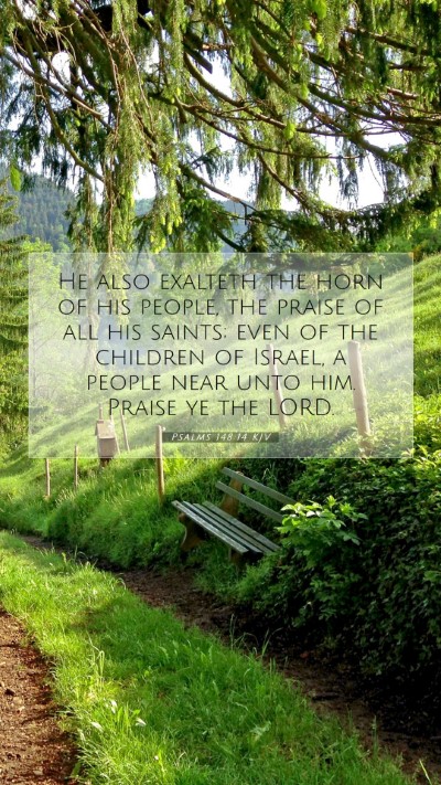 Picture 07 - Psalms 148:14 KJV Mobile Phone Wallpaper - He also exalteth the horn of his people, the - Mobile Bible Verse Wallpaper