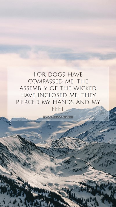 Picture 07 - Psalms 22:16 KJV Mobile Phone Wallpaper - For dogs have compassed me: the assembly of the - Mobile Bible Verse Wallpaper
