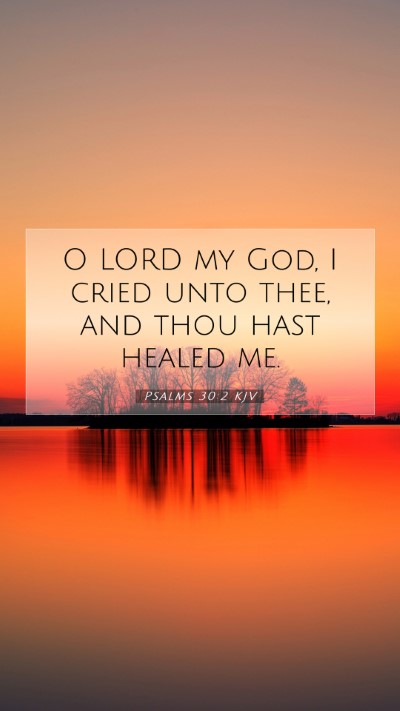 Picture 07 - Psalms 30:2 KJV Mobile Phone Wallpaper - O LORD my God, I cried unto thee, and thou hast - Mobile Bible Verse Wallpaper