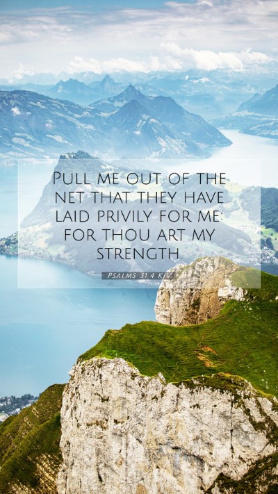 Picture 07 - Psalms 31:4 KJV Mobile Phone Wallpaper - Pull me out of the net that they have laid - Mobile Bible Verse Wallpaper