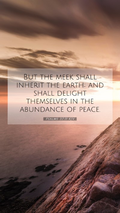 Picture 07 - Psalms 37:11 KJV Mobile Phone Wallpaper - But the meek shall inherit the earth; and shall - Mobile Bible Verse Wallpaper