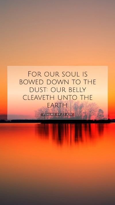 Picture 07 - Psalms 44:25 KJV Mobile Phone Wallpaper - For our soul is bowed down to the dust: our belly - Mobile Bible Verse Wallpaper
