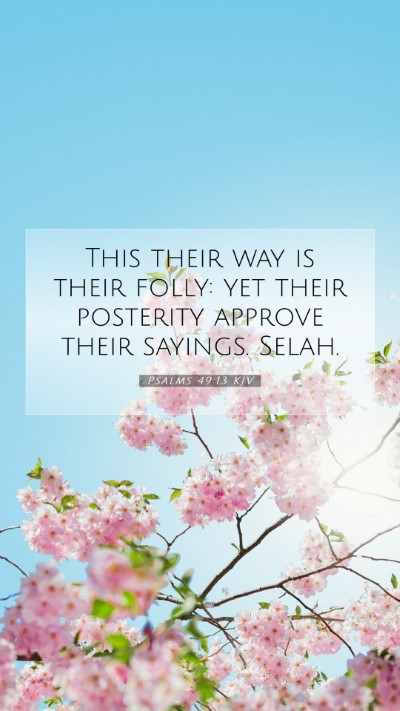 Picture 07 - Psalms 49:13 KJV Mobile Phone Wallpaper - This their way is their folly: yet their - Mobile Bible Verse Wallpaper