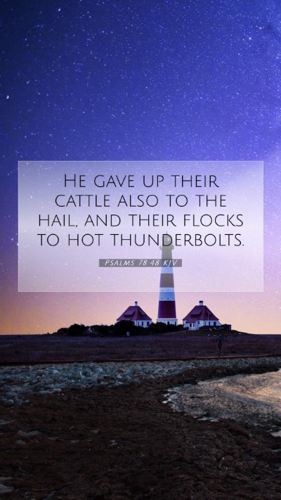 Picture 07 - Psalms 78:48 KJV Mobile Phone Wallpaper - He gave up their cattle also to the hail, and - Mobile Bible Verse Wallpaper