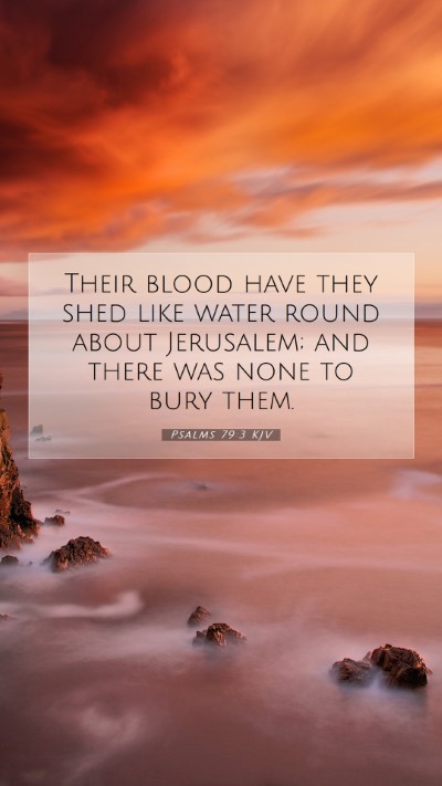 Picture 07 - Psalms 79:3 KJV Mobile Phone Wallpaper - Their blood have they shed like water round about - Mobile Bible Verse Wallpaper