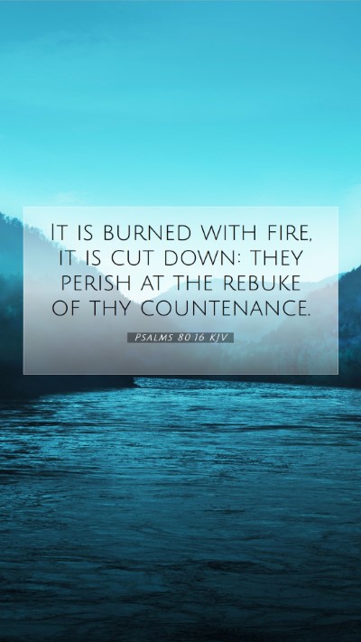 Picture 07 - Psalms 80:16 KJV Mobile Phone Wallpaper - It is burned with fire, it is cut down: they - Mobile Bible Verse Wallpaper