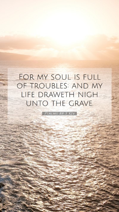 Picture 07 - Psalms 88:3 KJV Mobile Phone Wallpaper - For my soul is full of troubles: and my life - Mobile Bible Verse Wallpaper