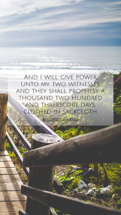 Picture 07 - Revelation 11:3 KJV Mobile Phone Wallpaper - And I will give power unto my two witnesses, and - Mobile Bible Verse Wallpaper