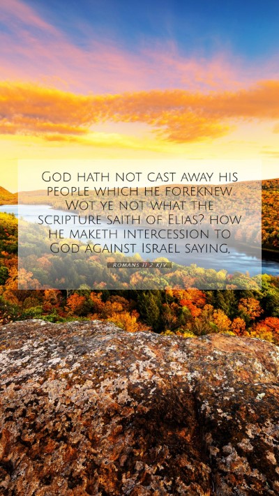 Picture 07 - Romans 11:2 KJV Mobile Phone Wallpaper - God hath not cast away his people which he - Mobile Bible Verse Wallpaper