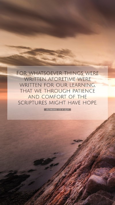 Picture 07 - Romans 15:4 KJV Mobile Phone Wallpaper - For whatsoever things were written aforetime were - Mobile Bible Verse Wallpaper