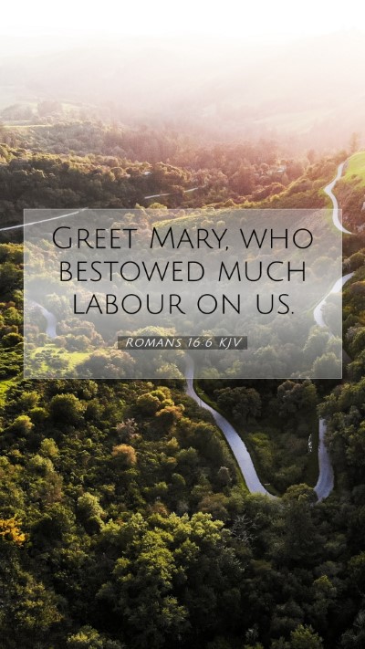 Picture 07 - Romans 16:6 KJV Mobile Phone Wallpaper - Greet Mary, who bestowed much labour on - Mobile Bible Verse Wallpaper