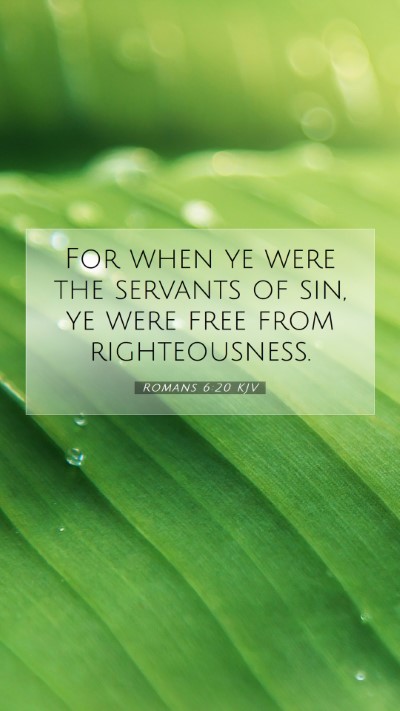 Picture 07 - Romans 6:20 KJV Mobile Phone Wallpaper - For when ye were the servants of sin, ye were - Mobile Bible Verse Wallpaper