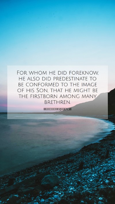 Picture 07 - Romans 8:29 KJV Mobile Phone Wallpaper - For whom he did foreknow, he also did - Mobile Bible Verse Wallpaper