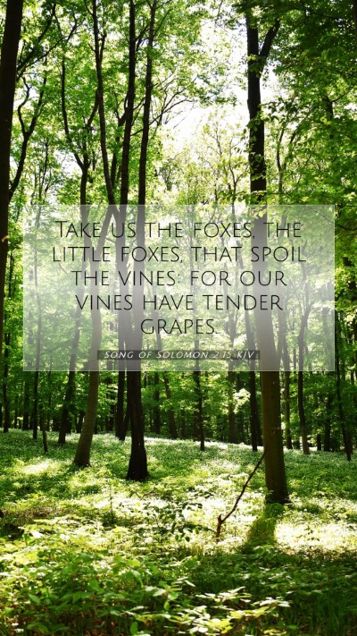 Picture 07 - Song of Solomon 2:15 KJV Mobile Phone Wallpaper - Take us the foxes, the little foxes, that spoil - Mobile Bible Verse Wallpaper