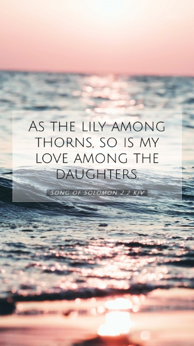 Picture 07 - Song of Solomon 2:2 KJV Mobile Phone Wallpaper - As the lily among thorns, so is my love among the - Mobile Bible Verse Wallpaper