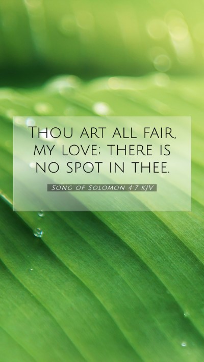 Picture 07 - Song of Solomon 4:7 KJV Mobile Phone Wallpaper - Thou art all fair, my love; there is no spot in - Mobile Bible Verse Wallpaper