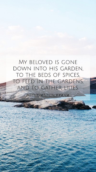 Picture 07 - Song of Solomon 6:2 KJV Mobile Phone Wallpaper - My beloved is gone down into his garden, to the - Mobile Bible Verse Wallpaper
