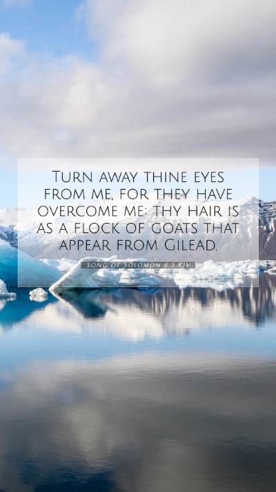 Picture 07 - Song of Solomon 6:5 KJV Mobile Phone Wallpaper - Turn away thine eyes from me, for they have - Mobile Bible Verse Wallpaper
