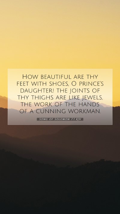Picture 07 - Song of Solomon 7:1 KJV Mobile Phone Wallpaper - How beautiful are thy feet with shoes, O prince's - Mobile Bible Verse Wallpaper