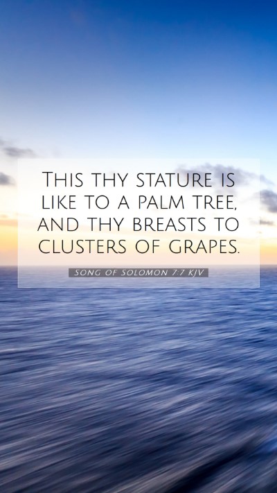 Picture 07 - Song of Solomon 7:7 KJV Mobile Phone Wallpaper - This thy stature is like to a palm tree, and thy - Mobile Bible Verse Wallpaper