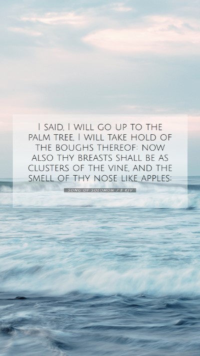 Picture 07 - Song of Solomon 7:8 KJV Mobile Phone Wallpaper - I said, I will go up to the palm tree, I will - Mobile Bible Verse Wallpaper